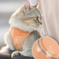 ✨🐱 Sconto 50% Oggi Scade! Guinzaglio Un Pezzo