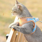 ✨🐱 Sconto 50% Oggi Scade! Guinzaglio Un Pezzo