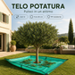 🚨 Ultimo Giorno! 50% DI SCONTO Tenda per Taglio