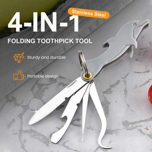 4-in-1 Foldable Stainless Steel Toothpick Tool