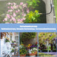⏰ Scade Oggi! Metà Prezzo Sistema Irrigazione Giardino