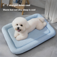 🐾⏰ Ultimo Giorno | Tappeto Raffreddante Pet Traspirante Estivo -50%