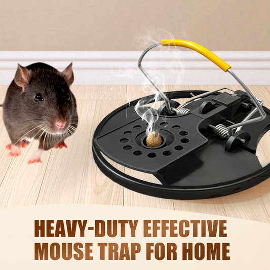 Heavy-Duty Effective Mouse Trap for Home