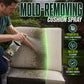 Patio Cushion Mold Remover Spray