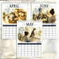 2027 A Cats Life Wall Calendar