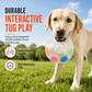 Interactive Dog Soccer Ball Toy with Grab Tabs
