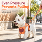 Escape Proof Dog Harness and Leash Set Vest Style Adjustable Chest Harness with 1.5m Leash for Small and Medium Dogs