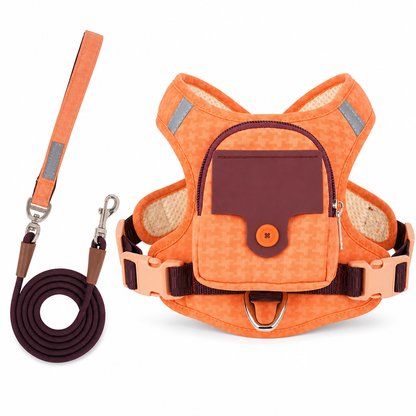 Escape Proof Dog Harness and Leash Set Vest Style Adjustable Chest Harness with 1.5m Leash for Small and Medium Dogs